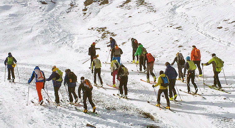 guide alpine 01 2017